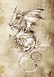 Sketch of tattoo art, classic dragon illustration