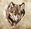 Ilustración: Sketch of tattoo art, Illustration of a Wolf head Sketch of tattoo art, Illustration of a Wolf head