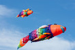 Colorful kites on blue sky.