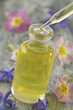 AROMATHÉRAPIE - Goutte d'huile essentielle