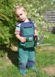 Gartenarbeit