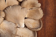 Oyster Mushrooms