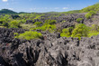 Photo: The Tsingy of Ankarana The Tsingy of Ankarana