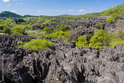 Photo: The Tsingy of Ankarana The Tsingy of Ankarana