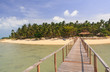 Wood bridge go to island