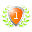 Prize for first place