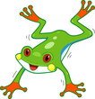 Rainforest Frog