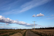 Tay banks walk - Errol - Perthshire - Scotland - UK