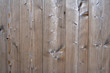 Holzwand mit schöner Zeichnung