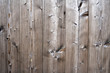 Holzwand mit schöner Zeichnung