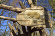 Directional sign on the forest path