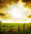 grass and sunset
