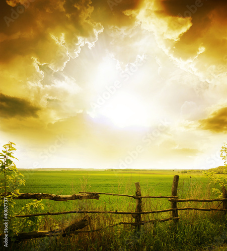Photo: grass and sunset grass and sunset