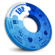ERP circle puzzle