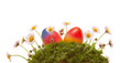Easter eggs