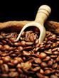 Coffee beans on burlap sack Coffee beans on burlap sack