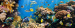 Coral colony and coral fish Coral colony and coral fish