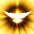 shining dove with rays on a dark