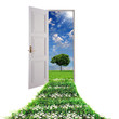 Open door leading to summer Open door leading to summer