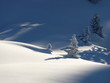 Tannenbäumchen im Schnee