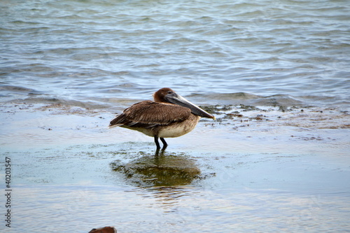 Photo: Sur l'eau Sur l'eau