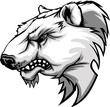 Polar Bear Mascot Head Vector Cartoon Polar Bear Mascot Head Vector Cartoon