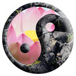 yin yang, floral, minéral