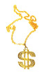 Dollar necklace