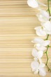 Foto: Orchid on mat Orchid on mat