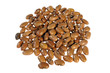 brown beans on white background