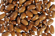 brown beans on white background