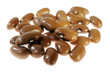 brown beans on white background