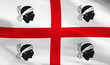 sardegna flag