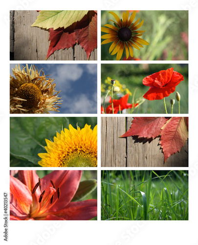 Foto: Nature banners for your design Nature banners for your design