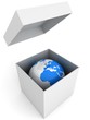 Illustration: Conceptual image of the Planet Earth in a cardboard box Conceptual image of the Planet Earth in a cardboard box