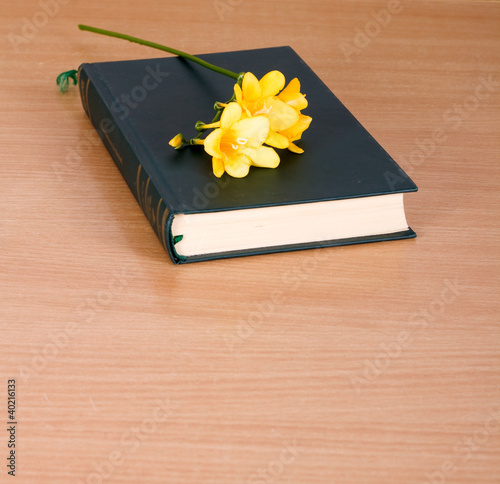Photo: yellow freesia on a closed book yellow freesia on a closed book