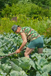 Man with Hoe 16 Man with Hoe 16