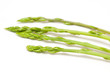 Asparagus acutifolius