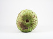 Custard apple