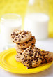 cookies with chocolate and glass of milk cookies with chocolate and glass of milk