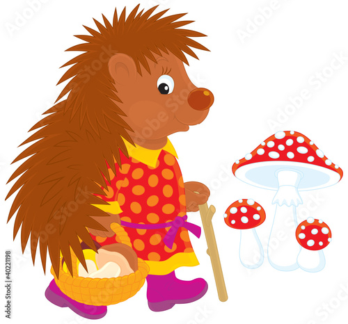 Vektor: Hedgehog mushroomer Hedgehog mushroomer