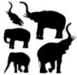 set of fine elephant silhouettes