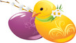 Easter eggs and chick