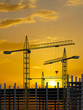 crane