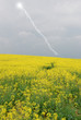 lighnting over rapeseed field in the afternoon lighnting over rapeseed field in the afternoon