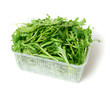 green arugula, isolatedon the white