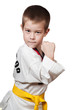 Young boy training karate.