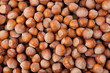 Hazelnuts, for backgrounds or textures Hazelnuts, for backgrounds or textures
