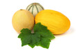 different melon