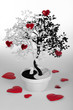 Concept the Feng shui